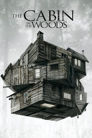 The Cabin in the Woods 2012 Dual Audio Hindi | Hindi Dubbed Movie BluRay [800MB] ESubs